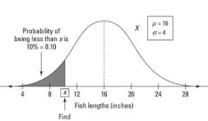 A Percentile For A Normal Distribution