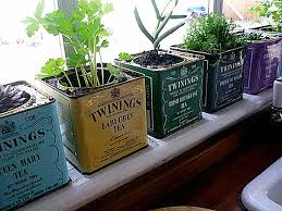 Indoor Gardening Ideas To Beautify Your