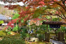 ryoanji temple kyoto travel guide