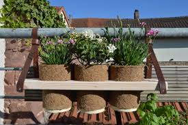 Balcony Suspension Plants Board Herb