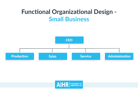 organizational design and structures