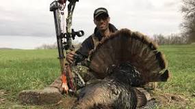 is-it-hard-to-shoot-a-turkey-with-a-bow