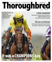 12 november from 12 noon. Itb November2020 By International Thoroughbred Issuu