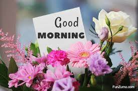 220 good morning quotes to make them shine bright. 35 Best Good Morning Flowers Images Funzumo