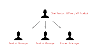 Understand The Product Organization Understand The Role Of