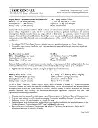 Controller Resume Objective Samples    http   www resumecareer info controller 