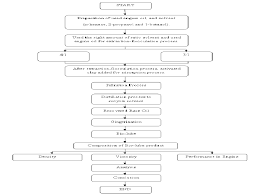 Flow Chart Diagram Of The Overall Preliminary And Prototype
