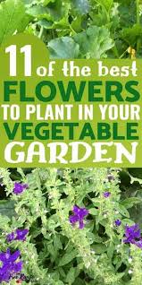 11 Best Flowers For Your Vegetable Garden