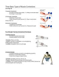 three basic types of muscle contractions