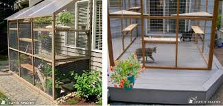 8 catio building mistakes to avoid