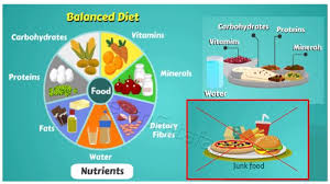 What Is Balanced Diet? All you need to know - LearnFatafat