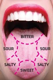 Map Of The Tongue Showing Different Taste Buds Human Body