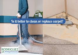 is it better to clean or replace carpet