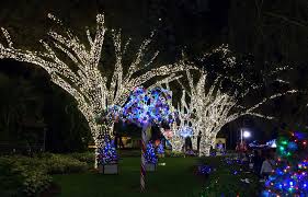 best holiday light displays for