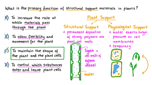 structural support materials