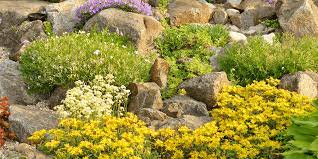 How To Build A Rock Garden Platt Hill