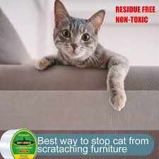 petslucent cat scratch furniture
