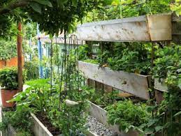 Vertical Gardening Ideas How What To