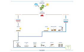 Process Flowchart Coffee Products Services Sucden