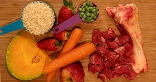 It is much easier to manage these plans if a canned food with dieting made me worried i wouldn't get treats anymore. A Vet Approved Grain Free Raw Dog Food Recipe Walkerville Vet
