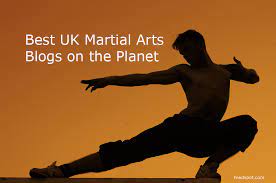45 best uk martial arts s and