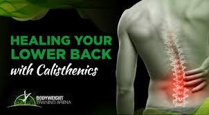 lower back pain with calisthenics