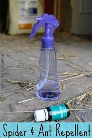 diy spider ant repellent a mom s take
