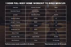 full body workout to build muscle