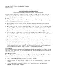 College Admission Essay Format Heading Examples And Forms