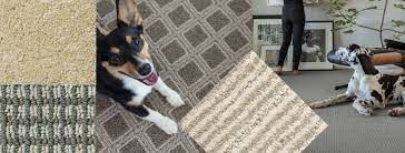 tuftex carpet for style and pet protection