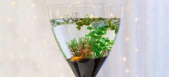 27 Small Fish Tank Ideas - Complement Your Home gambar png