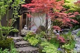 japanese gardens learn what you need