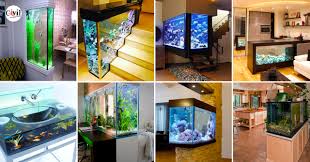 unique aquarium designs to freshen up