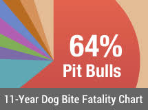 11 Year U S Dog Bite Fatality Chart 2005 To 2015 Dog