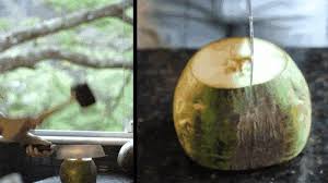 1º passo faça um furo no coco seco retirando toda água. Truque Para Abrir Coco Verde E Coco Seco Com Itens Que Todo Mundo Tem Em Casa