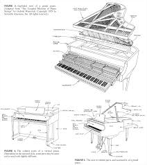 Piano Parts And Sizes Pianobuyer