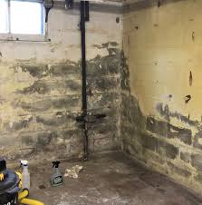 basement demo and waterproofing with