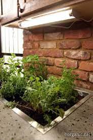 22 Kitchen Countertop Herb Garden Ideas