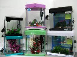 Mutiara aquarium merupakan salah satu pioner budidaya ikan hias sebagai sebuah sarana rekreasi sekaligus hobi. Facebook
