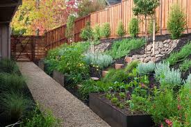 Steep Backyard Into A Terraced Garden