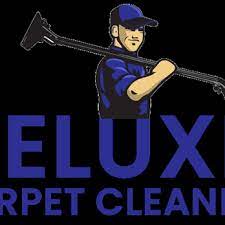 deluxe carpet cleaning hockley texas
