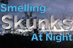 Why do I smell skunk at night?