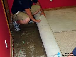 water damage on your carpet tips from