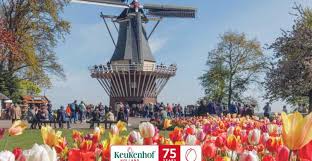from amsterdam keukenhof entry and