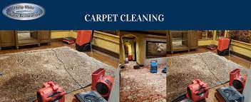 carpet cleaning services for orlando