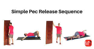 pec mobility sequence my rehab connection