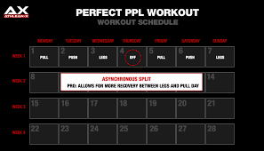 perfect push workout best push