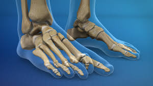 Claw & Hammer Toe - Atlantic Orthopaedic Specialists