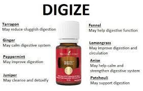 digize essential oil blend coldwater