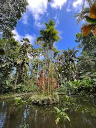 hawaii tropical botanical garden best